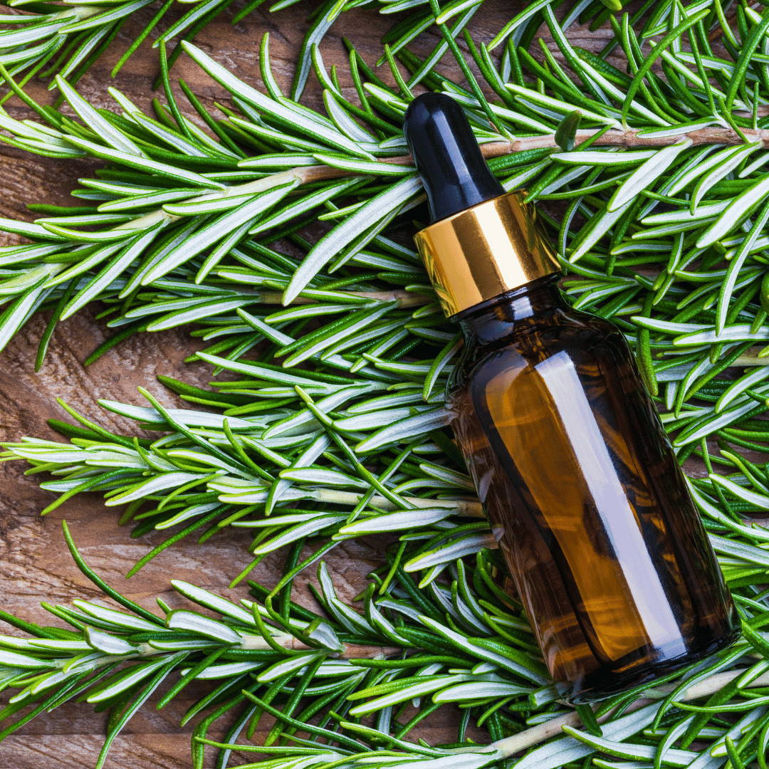 Rosemary Oil.