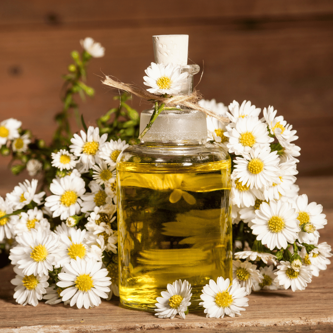 Chamomile Oil.