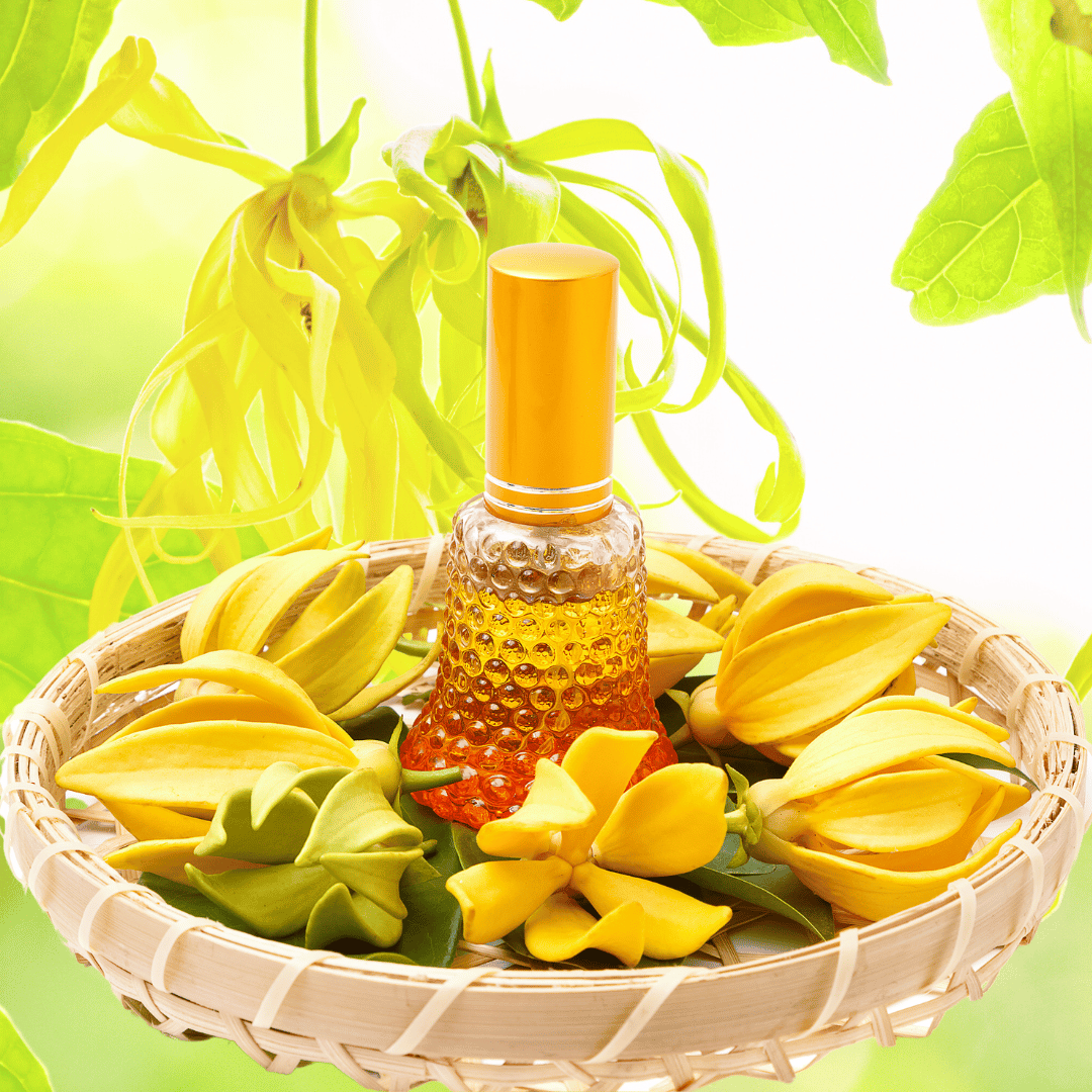 Ylang Ylang Oil.