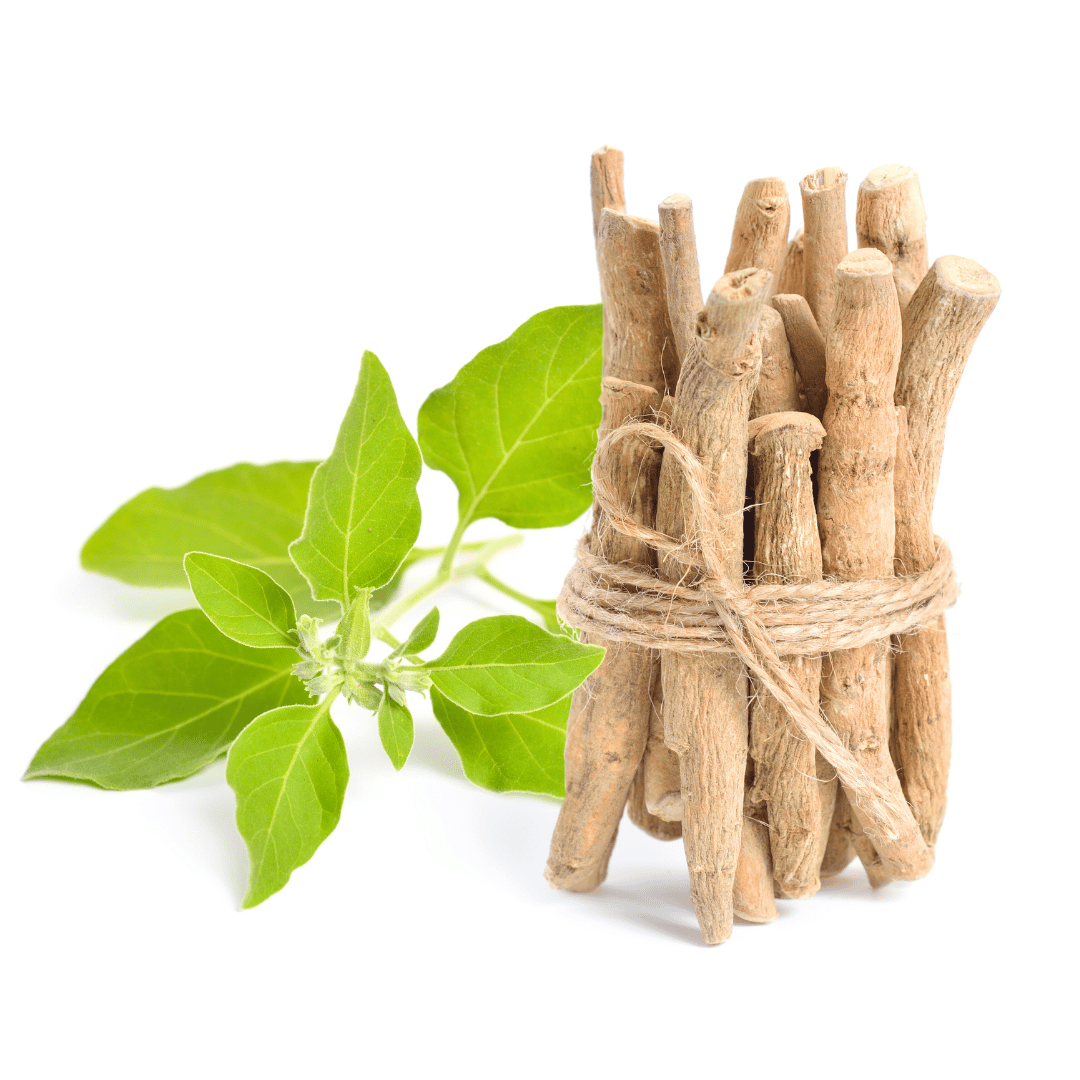 ashwagandha.